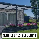 20. Nebbiolo 404,5x300