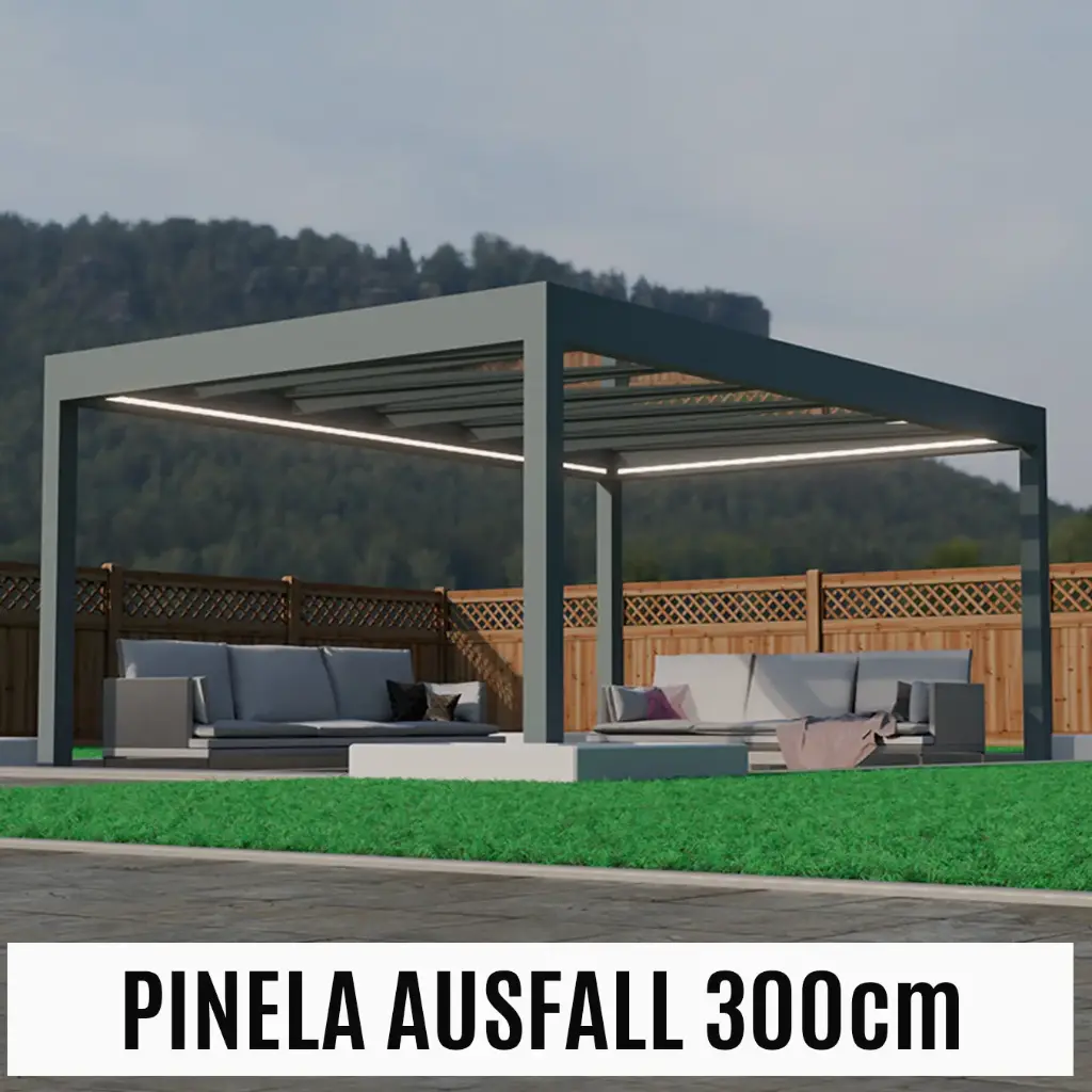 75. Pinela 601x300 inkl. LED (1. Wandmontage, 1. Anthrazit, 1. Glas)