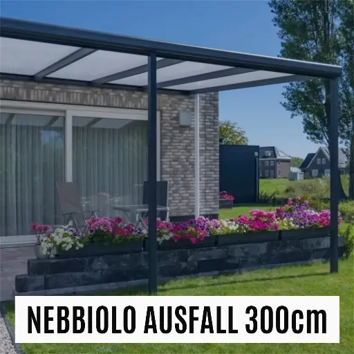22. Nebbiolo 604,5x300